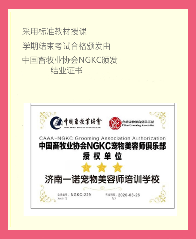 哈希娱乐- 哈希游戏平台- 哈希游戏官方网站洗欢宠：智筑宠业新生态同心共赢财富未来